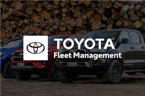 Toyota-mobility-network_TFM